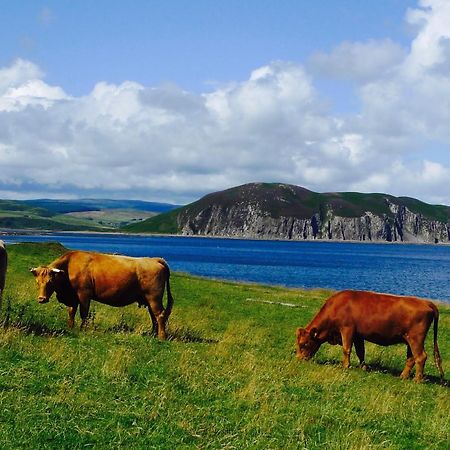 Rural Farmhouse On Kintyre, West Coast Hidden Gem Kildalloig Zewnętrze zdjęcie