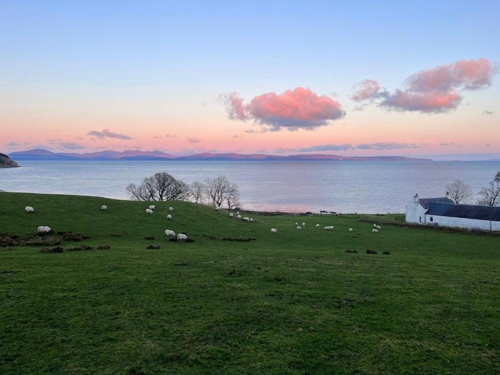 Rural Farmhouse On Kintyre, West Coast Hidden Gem Kildalloig Zewnętrze zdjęcie